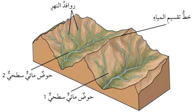 الحوض المائي السطحي